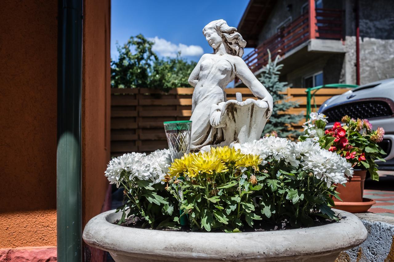 Cleopatra Residence ヤシ エクステリア 写真